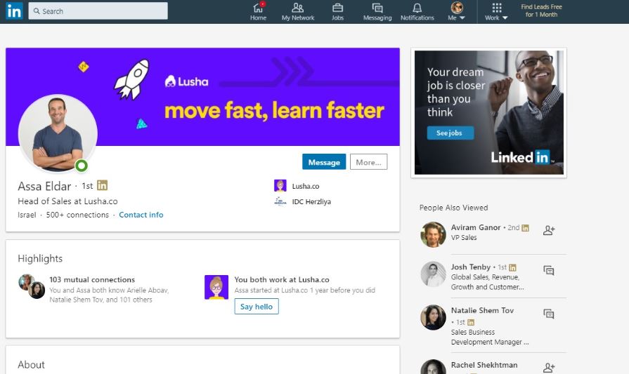 Lusha review
