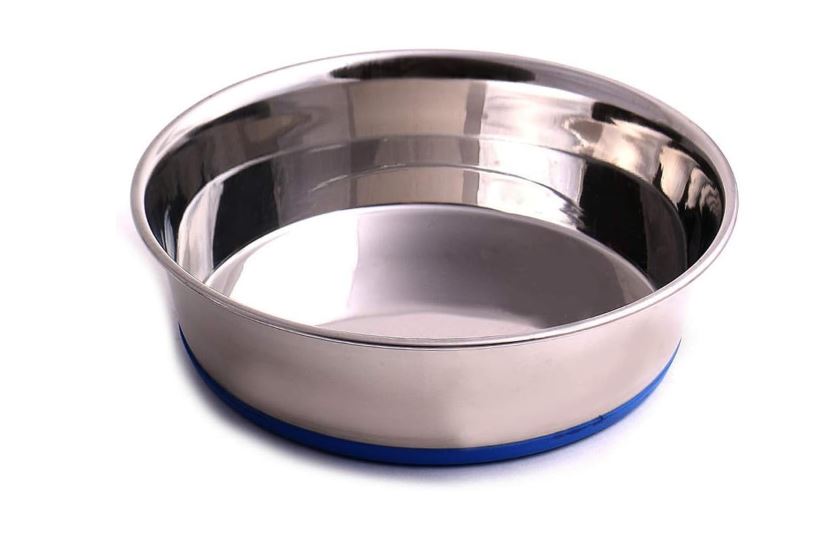 Best Dog Bowls