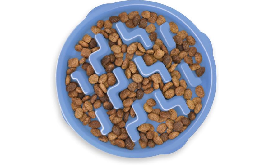 Best Dog Bowls