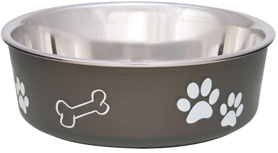 Best Dog Bowls