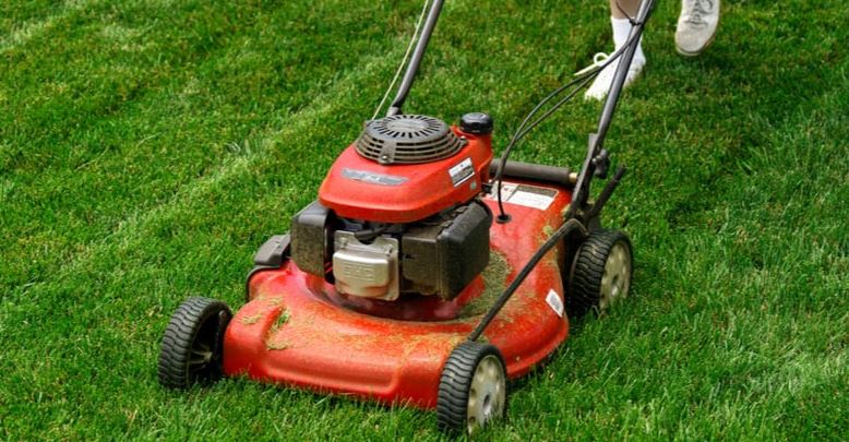 Best Mulching Lawn Mowers 2026 February: for large and small Yards