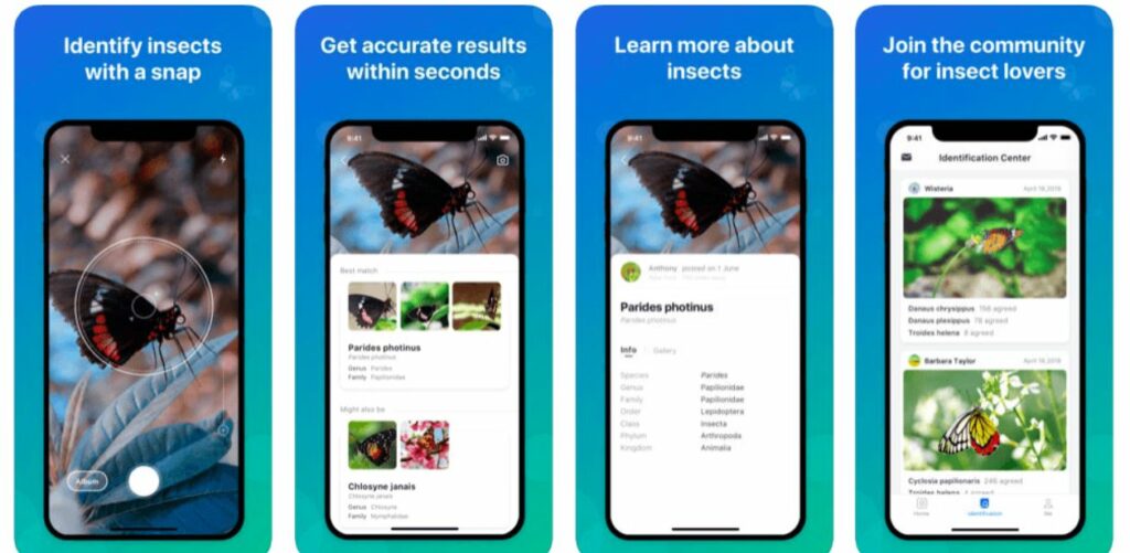 Best Bug Identifier Apps for iPhone