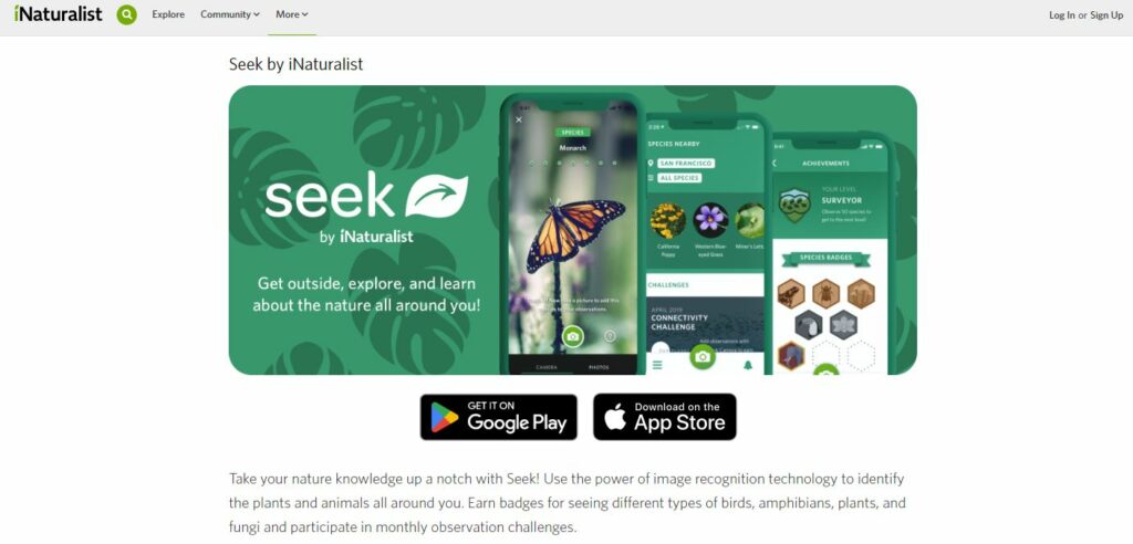 Best Bug Identifier Apps for iPhone