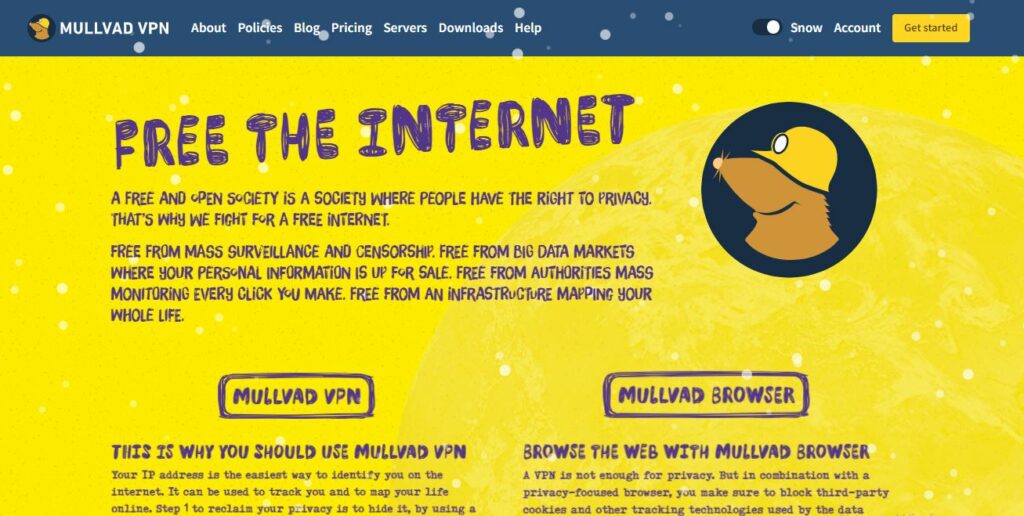 Best Safari VPNs