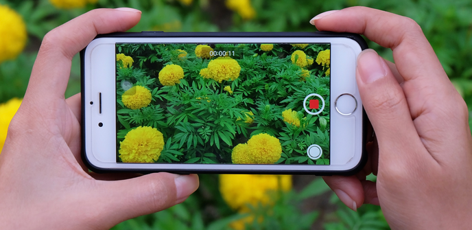 How to Reverse a Video on Android and iPhone