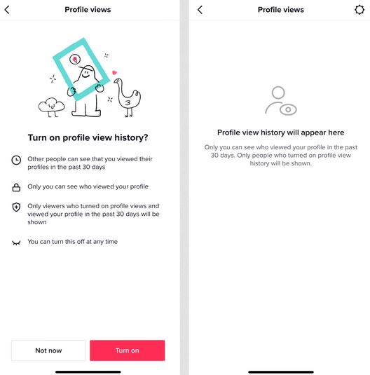How to Turn On Profile Views on TikTok