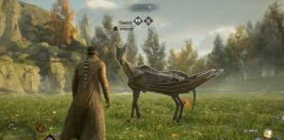 Hogwarts Legacy: How To Catch A Thestral