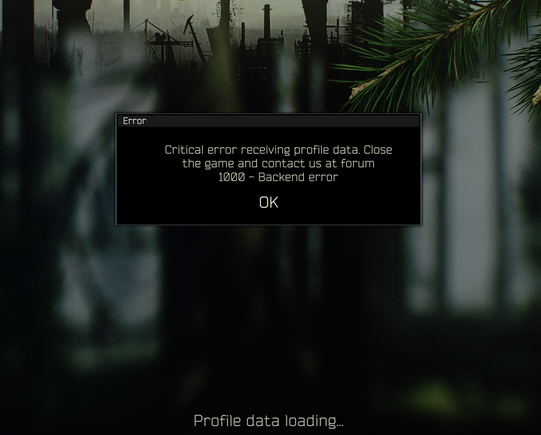 What is 'Escape from Tarkov Error 1000' issue