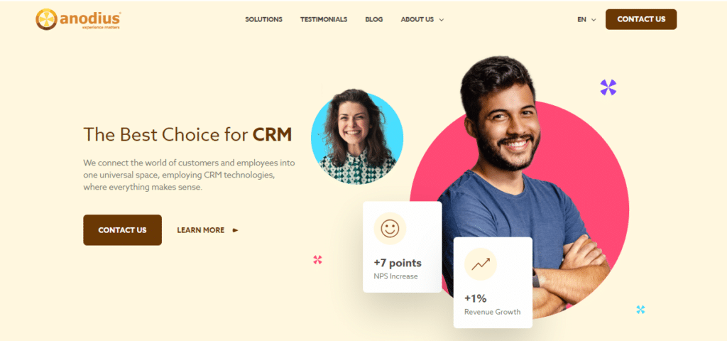 Best Implementation Services Providers