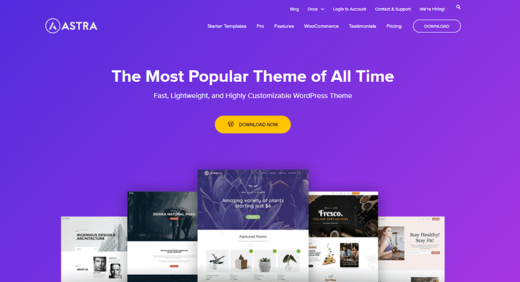 Best WordPress Themes for Blogs