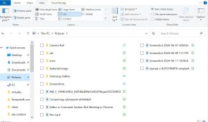 File Explorer check boxes appearing next to files and folders in Windows 11