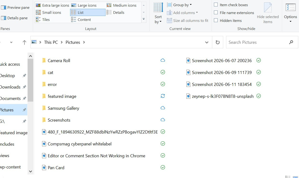 Disabling the Use check boxes to select items option in Windows 11 File Explorer settings.