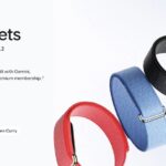 Google Fitbit Air screenless fitness tracker