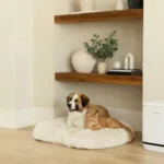 Levoit Vital Pet Pro air purifier beside a dog and cat