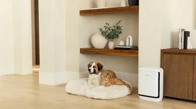 Levoit Vital Pet Pro air purifier beside a dog and cat