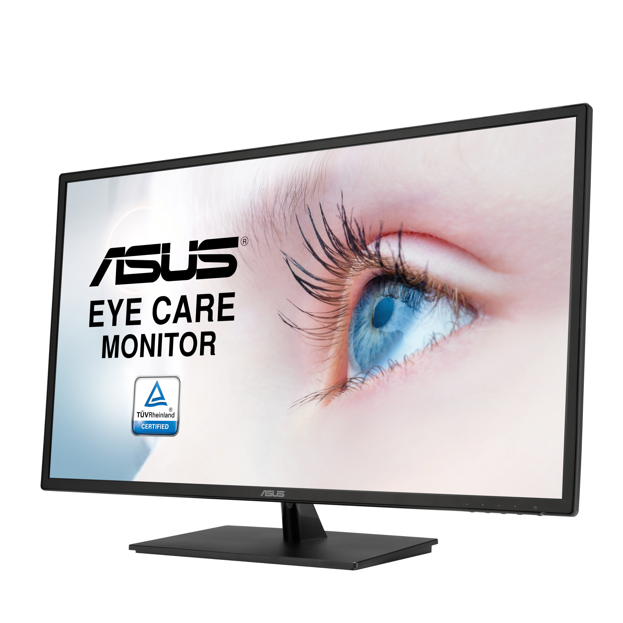 ASUS large-format monitor