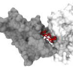 Korea's Hits Raises $13 Million to Build an AI Co-Scientist for Drug Discovery