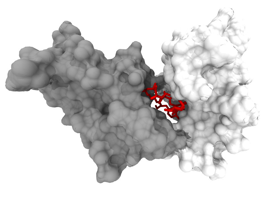 Korea's Hits Raises $13 Million to Build an AI Co-Scientist for Drug Discovery
