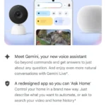 Google Gemini interface for household AI assistance