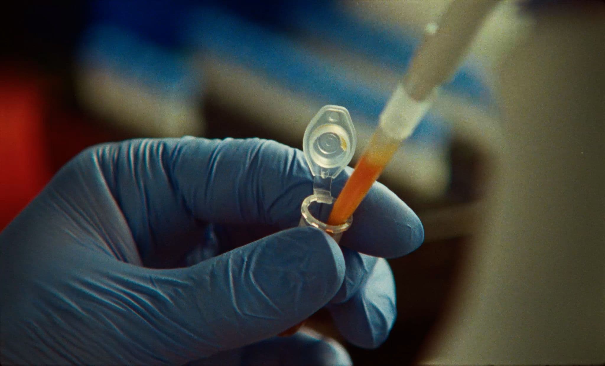 Laboratory researcher handling a biological sample