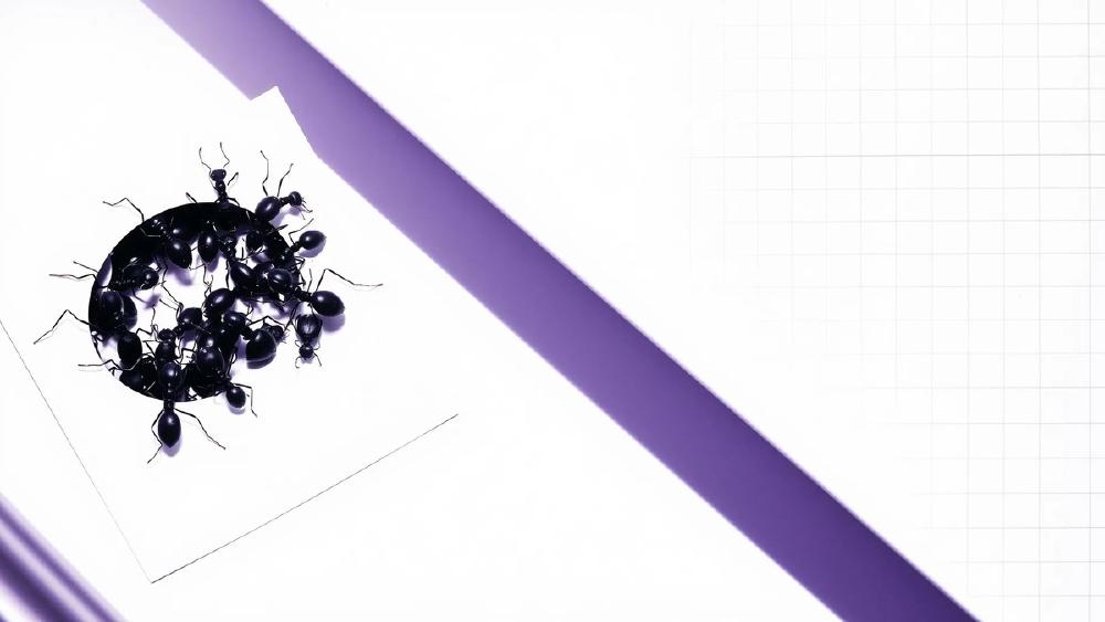 AI agents represented as a coordinated swarm probing online databases
