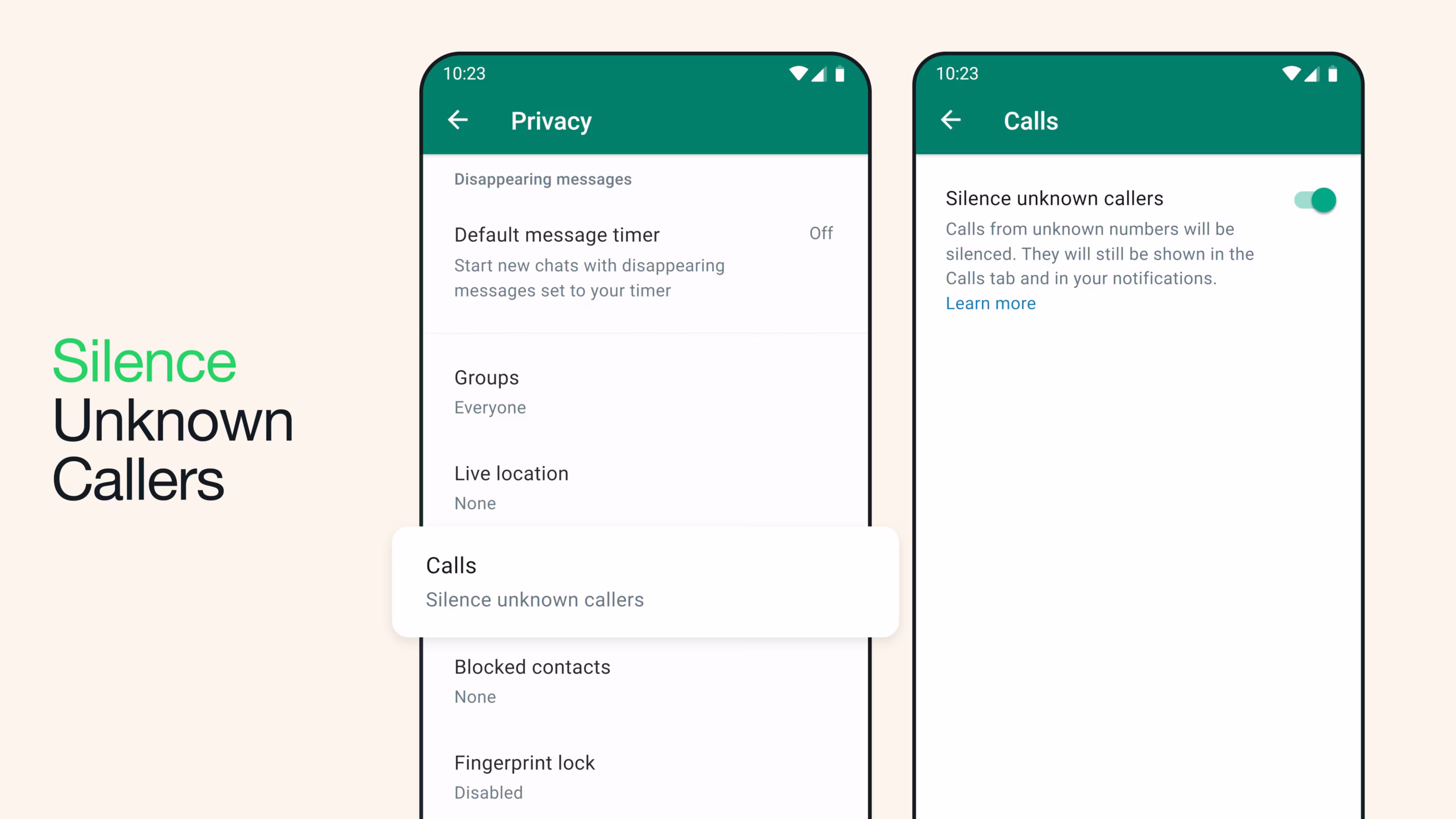 WhatsApp call and privacy interface illustration